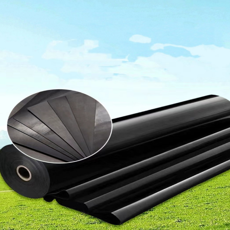 固成 13M长*12M宽*25S PE聚乙烯塑料薄膜防渗膜防尘防雨布大棚膜土工膜(单位:块)