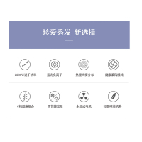 飞科电吹 FH6275家用理发店发廊大功率2200w6档调控恒温护发;负离子护发;冷热风护发过热保护