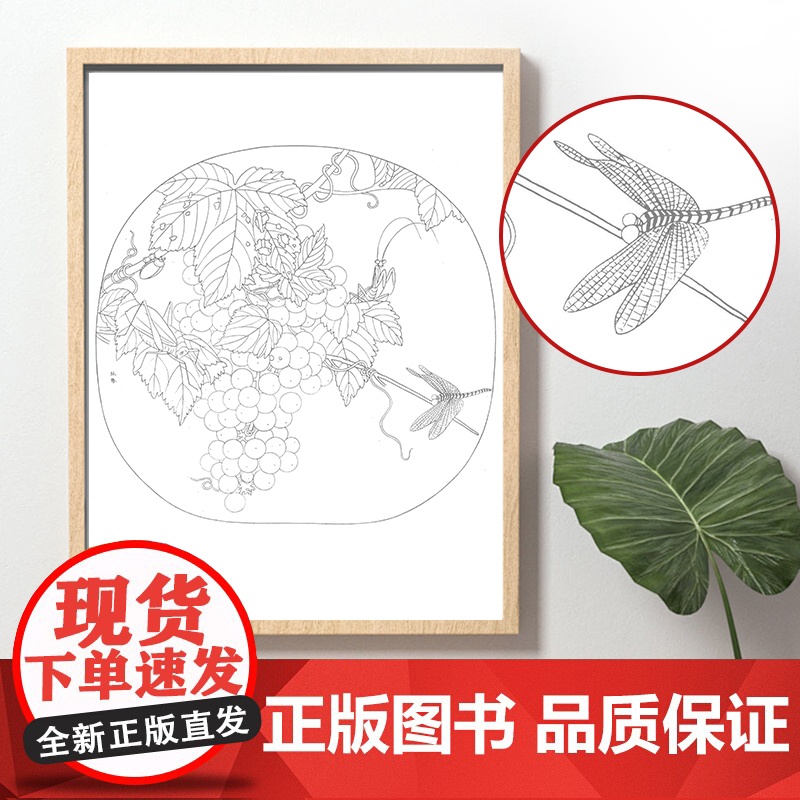 中国画白描入门描摹本国画工笔果蔬美术套装画本工具描红书初学者画画临摹画册毛笔绘画练习教材高清大图