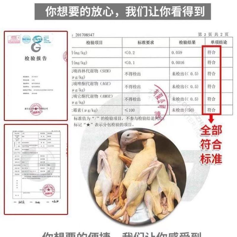 赛卡伊 鸭子鲜鸭农家散养鸭子土鸭整鸭笨鸭活鸭农村现杀鸭鸭血 1只大号鸭[2.6斤1只]高清大图