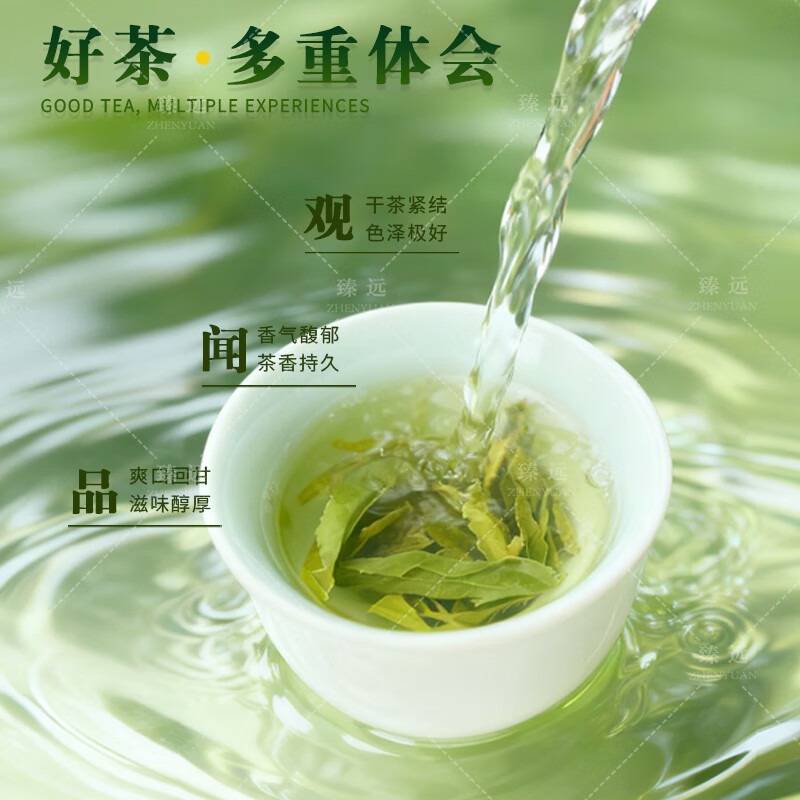臻远 ZY5091537 绿茶 信阳毛尖 100g/包 单位:包_高清大图