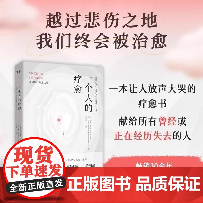 一个人的疗愈越过悲伤之地我们终会被治愈 一本让人放声大哭的疗愈书 7次互助会谈6个自我练习开启自我疗愈之旅 恰如其分的孤
