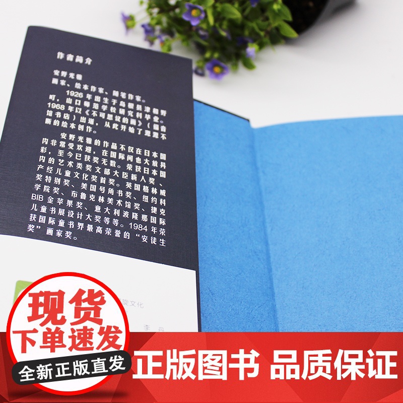 安野光雅:空想工房 安野光雅 台海出版社 正版书籍高清大图
