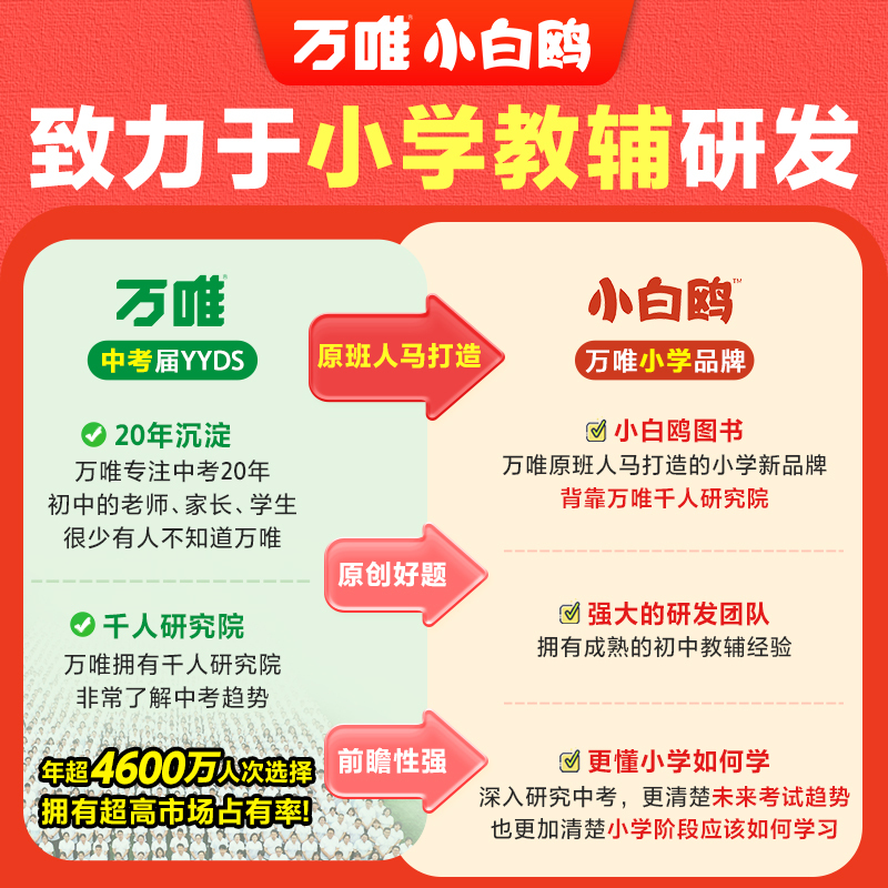 2025版小白鸥基础知识[语文]全国通用 小学升初中 [正版]2025版万唯小白鸥小升初分类卷重点中学招生五年真题试卷语