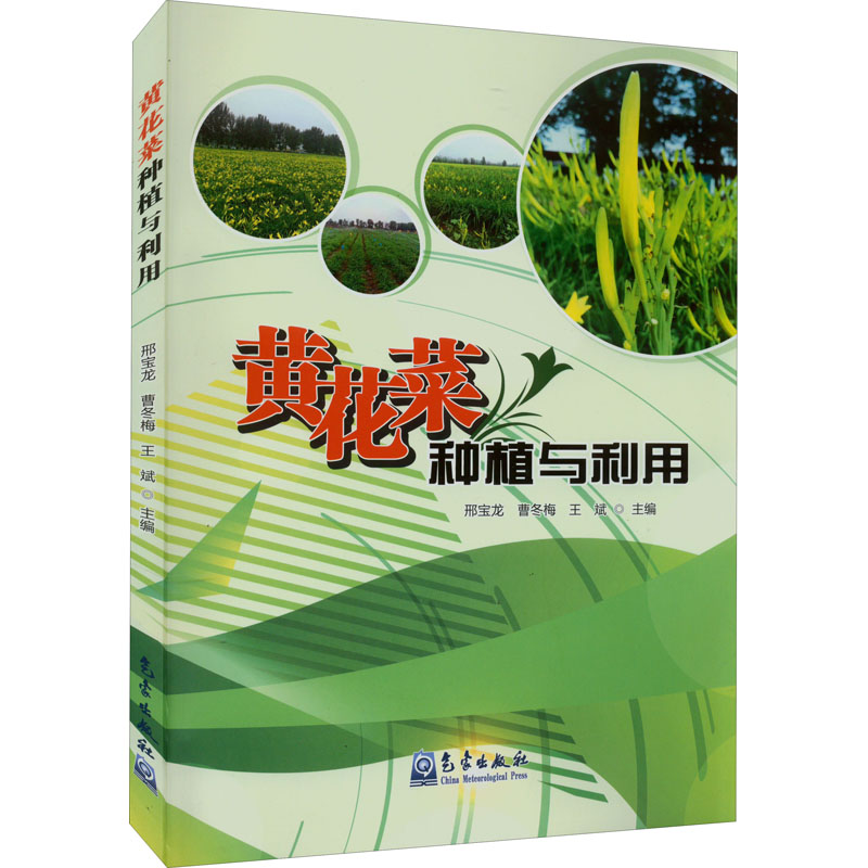 正版新书]黄花菜种植与利用邢宝龙 曹冬梅 王斌 主编97875029767高清大图