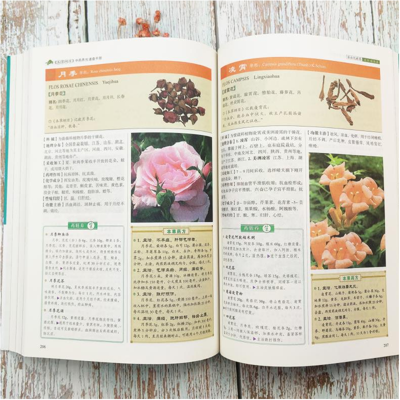 醉染图书《本草纲目》养生速查手册9787550224247高清大图