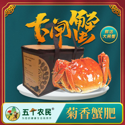 [精品]固城湖大闸蟹蟹礼 万事大吉2888型3.5公 2.5母8只装 鲜活到家