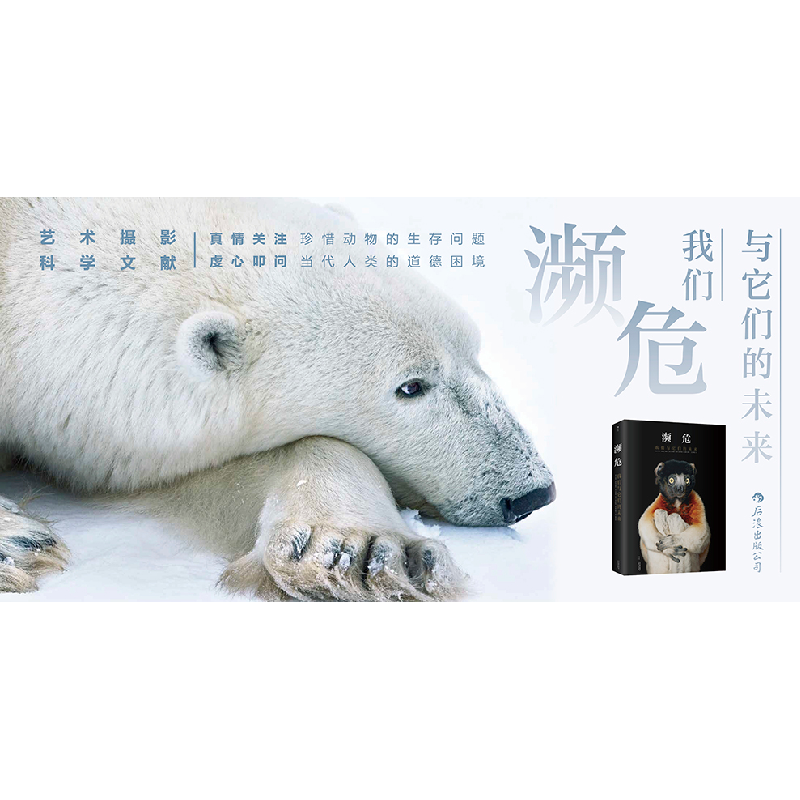 醉染图书濒危:我们与它们的未来9787201143422高清大图