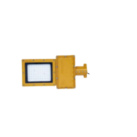 ZHEGUANRONG/浙冠荣免维护led防爆路灯 GRDL122-50W 个