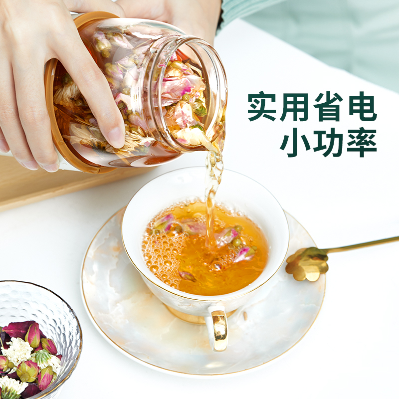 魅果(vigo)养生壶办公室便携小型煮茶器家用多功能mini玻璃煮花茶壶