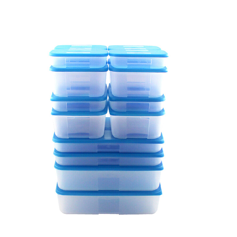 特百惠(Tupperware)冷冻16件套装保鲜盒 大容量塑料冰箱收纳冷冻盒冷藏盒 16件套