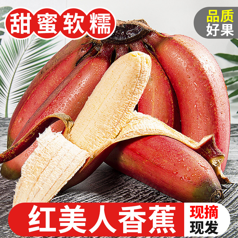 super会员[双蕉组合]福建漳州土楼正宗苹果蕉3斤和美人蕉2斤共5斤装当季整箱孕妇水果粉蕉产地直发超甜小香蕉自营生鲜