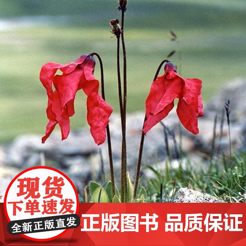中国常见植物野外识别手册.青海册 马克平 刘冰 丛书主编 吴玉虎 本册主编 商务印书馆高清大图