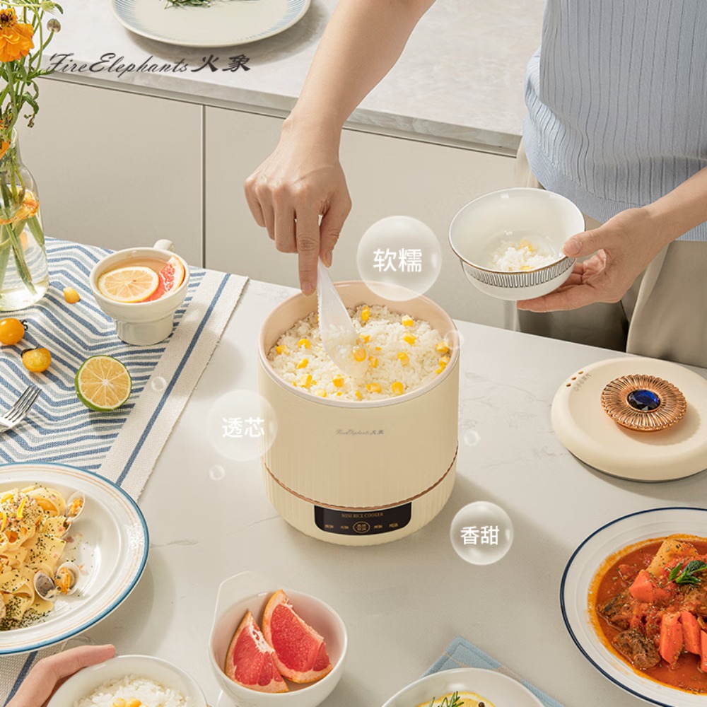 火象智能电饭煲HX-DFB036高清大图