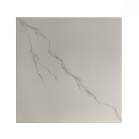 美瑞欧 仿通体大理石纹背景墙砖地板砖 60*60cm 10块/组（单位：组）