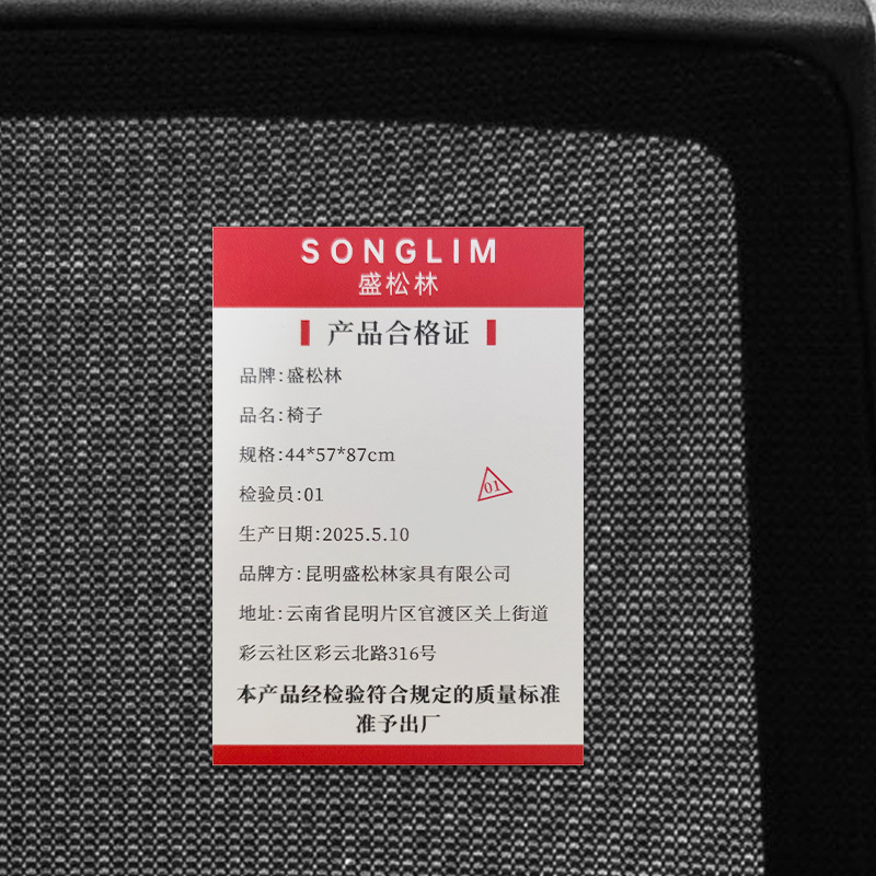 盛松林 椅子 44*57*87cm 把