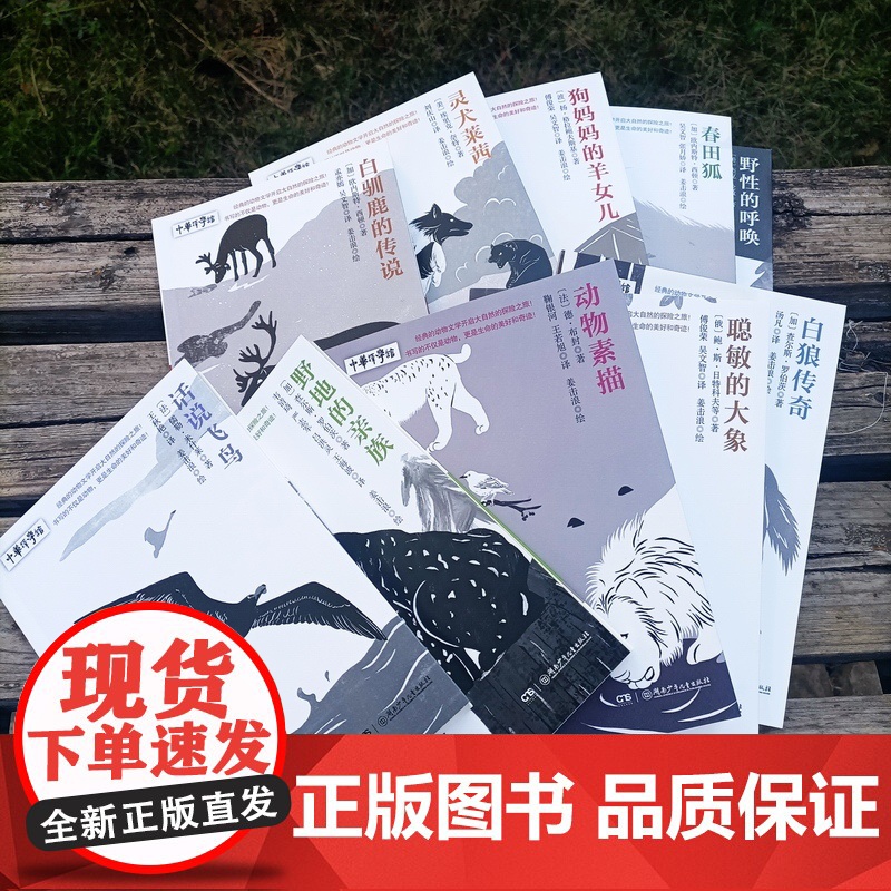 世界动物文学经典译丛 全10册 7-14岁少儿外国儿童文学故事小说图书 春田狐 小学生一二三四五六年级课外阅读物书籍 湖高清大图