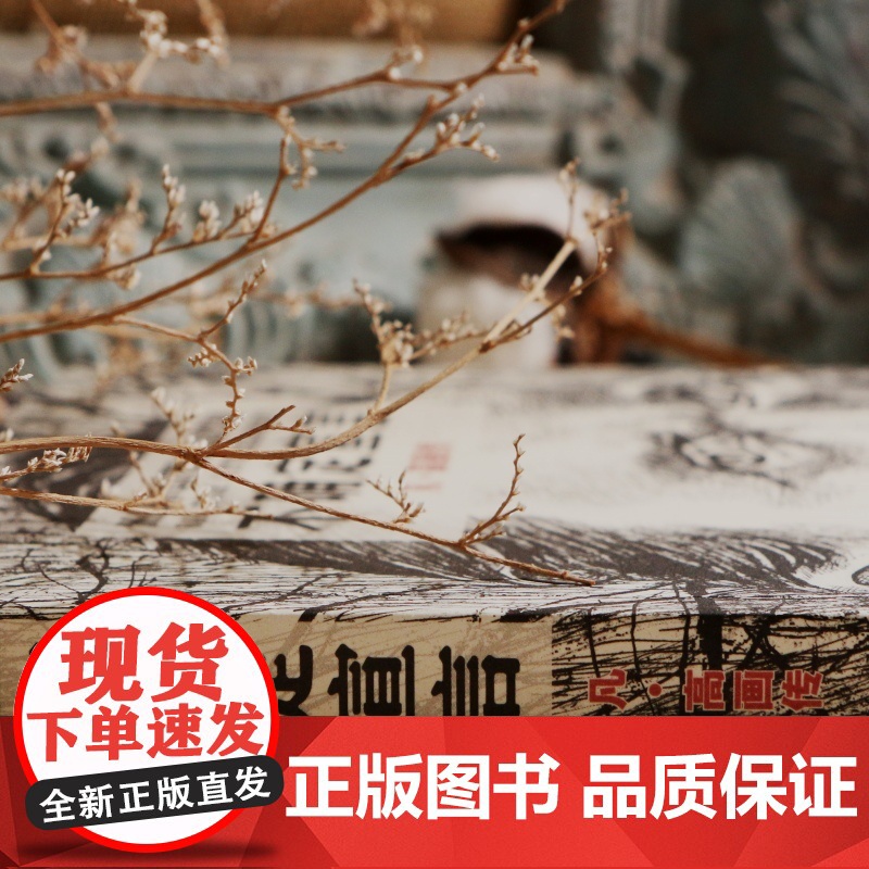 不确定宣言 凡·高画传 图文叙事讲述凡高的孤独奇遇流浪人生 瑞士文学大奖作品 散文诗歌绘画于一体的传记文学书籍 后浪高清大图