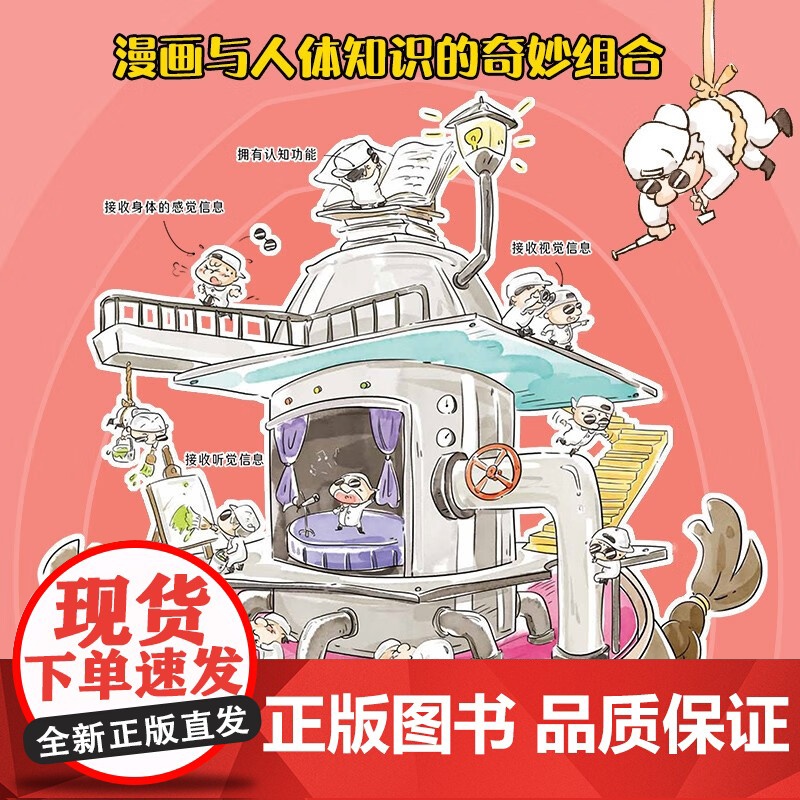 漫画万物这就是人体 爆糖童书等 著 科普百科高清大图