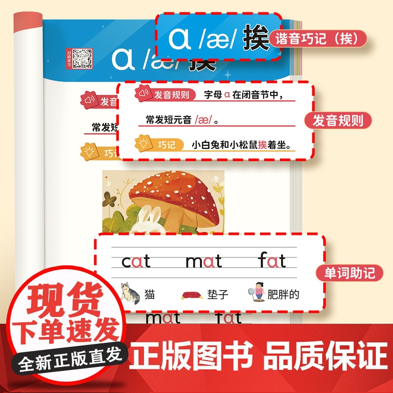 趣味学音标趣味速记忆48个国际音标小学生英语音标启蒙入门教材教程拼读音标学习三四五六年级小学英语自然拼读发音规则表音标书高清大图