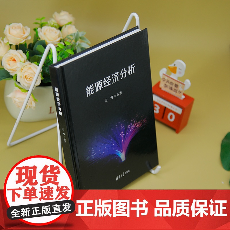 [正版新书]能源经济分析 孟明 清华大学出版社 信息分析方法高清大图