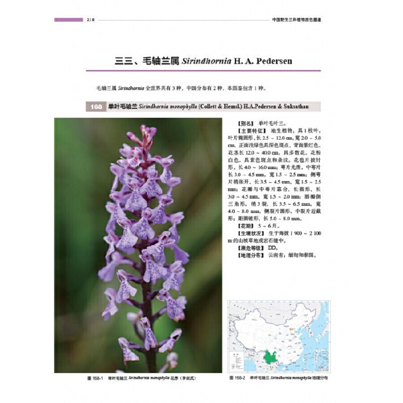 [醉染正版]精装 中国野生兰科植物原色图鉴 上下卷 金效华花图鉴基础知识 种类分类园艺栽培 兰科植物花叶特征识别大全 自高清大图