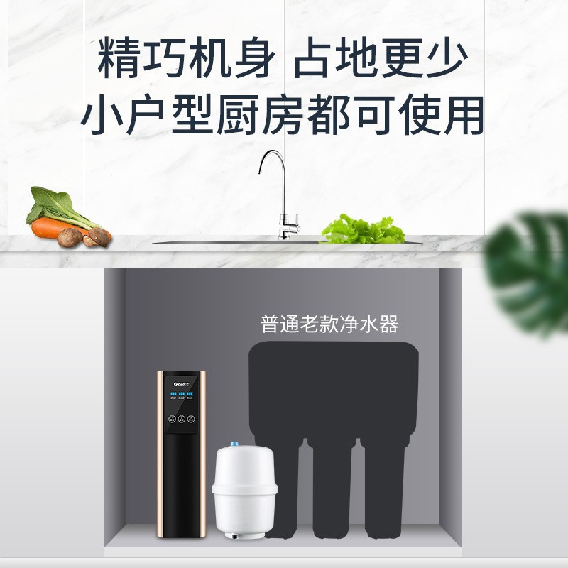 格力(GREE)净水器WTE-PT16-3087净水机家用直饮厨房自来水RO过滤反渗透纯水机2:1低废水比100G大通量
