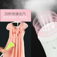 志高(CHIGO)蒸汽挂烫机ZD195 单杆八档可调快速出蒸汽大水箱家用挂式熨斗红色绿色