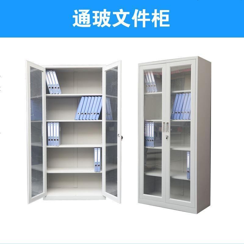 文件柜铁皮柜柜凭证柜办公家具二斗资料档案柜玻璃更衣柜 图一_通玻柜_0.5mm