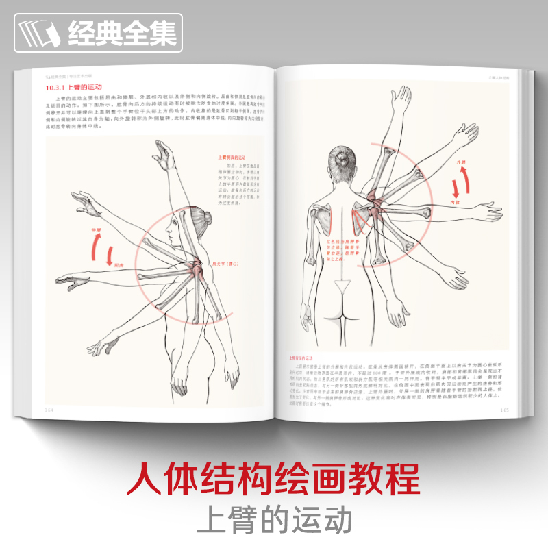 [正版]2本套装全解人体结构+艺用解剖学保罗·里奇尔素描美术绘画入门书籍理解骨骼肌肉运动造型形体手绘技法笔记图集教程材