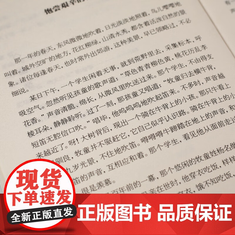 中国神话传说(小学语文教材(四年级上)“快乐读书吧”书目四课外书中国历史人物故事小学生语文教材指定 中国神话传说高清大图