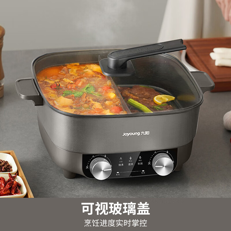 九阳(Joyoung) 6L鸳鸯电火锅HG60-G650-B高清大图