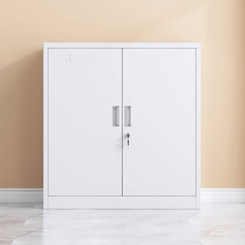 腾焱办公柜两门台高清大图