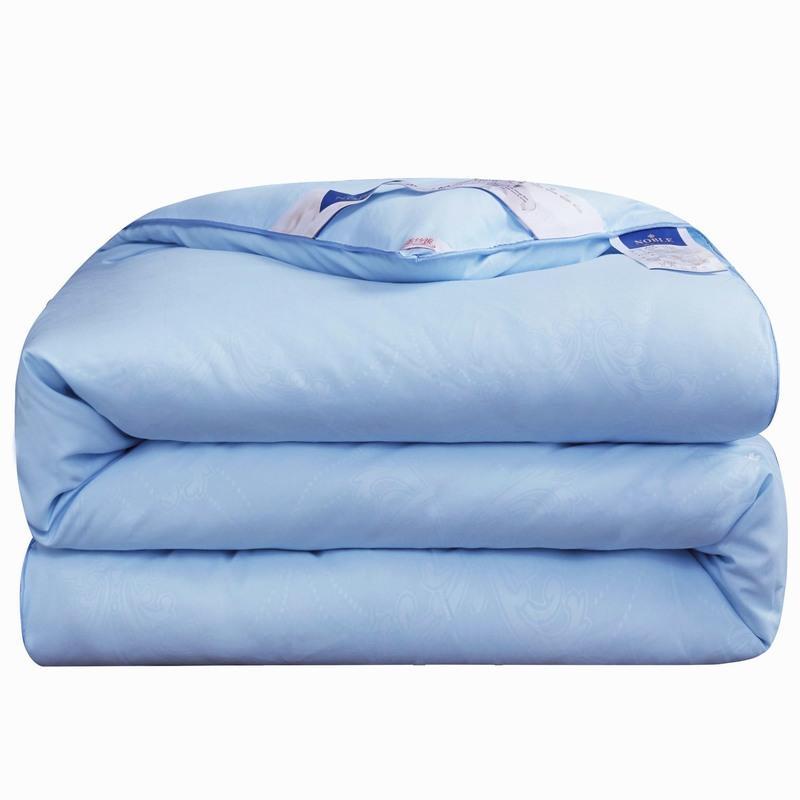 蚕丝被可水洗空调被夏凉被春秋被加厚冬被单双人被子被芯压花蓝100150