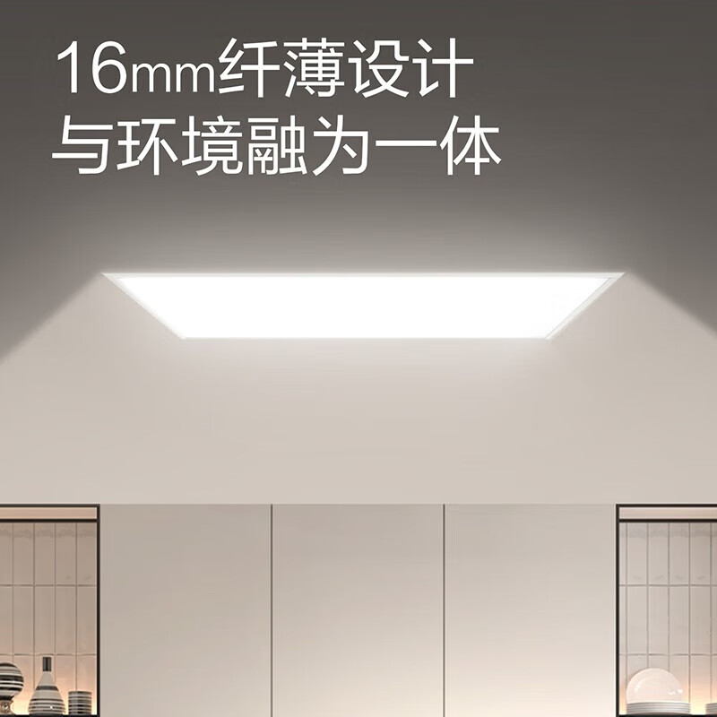 【飞利浦1140】集成吊顶 洁恺三代高清大图