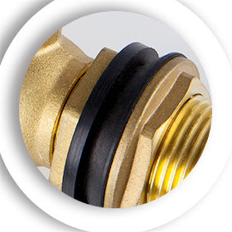 俊伟达水箱水塔浮球阀浮球阀门 黄铜阀体 铜体DN25图片