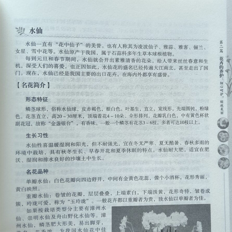 [醉染正版]家庭养花实用宝典 四季养花实用宝典 家庭养花和种菜全书 新手养花实用指南 四季养花一本通养花营养土施肥家庭园高清大图