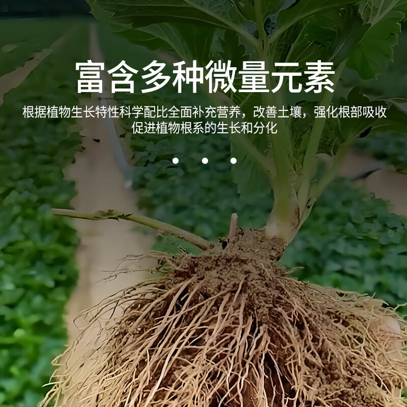 德沃多肥料 600ml*2+喷壶*1 @植物浓缩营养液 (计价单位:套)高清大图