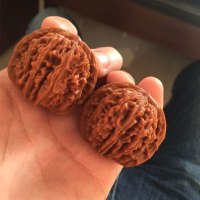 [入门推荐]核知道 文玩盘玩核桃新手初玩四座楼闷尖磨盘狮子头苹果园白狮子满天星虎头核头古玩野生男女