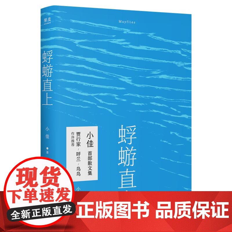 蜉蝣直上 脱口秀演员小佳首部散文集太白文艺出版社非虚构文学女性小人物生活高清大图