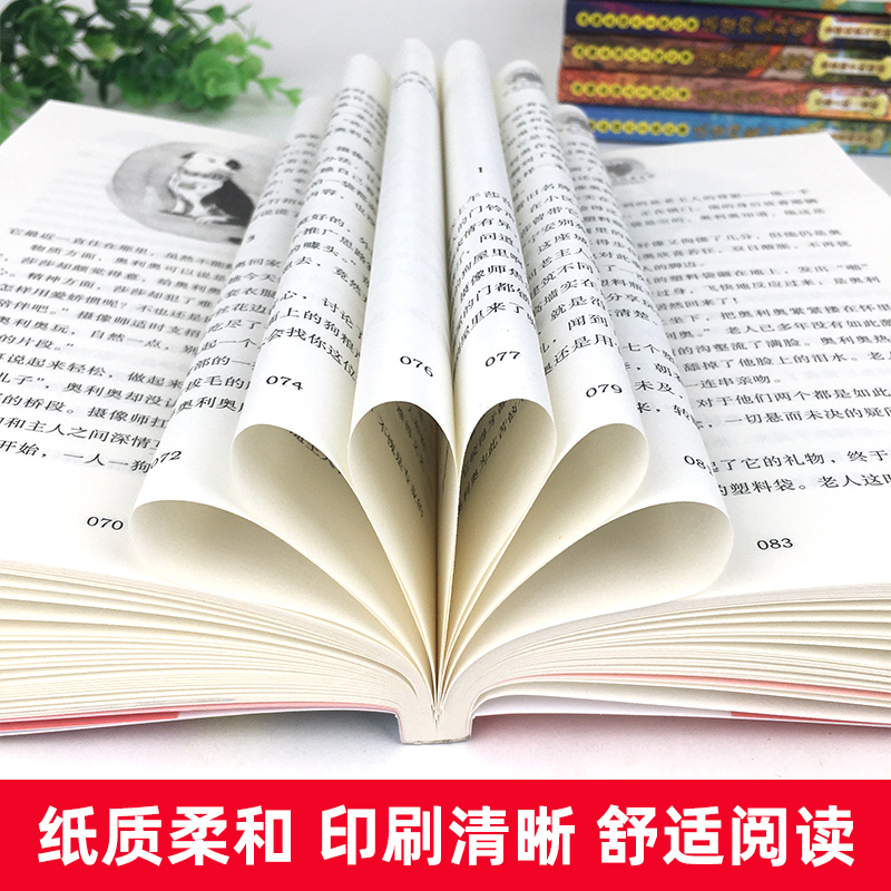 [1-12]流浪狗奥利奥 全套12册 [正版]流浪狗奥利奥 全套12册 吉他上的二重唱来自星星的守护黑夜骑手的眼睛动物小高清大图