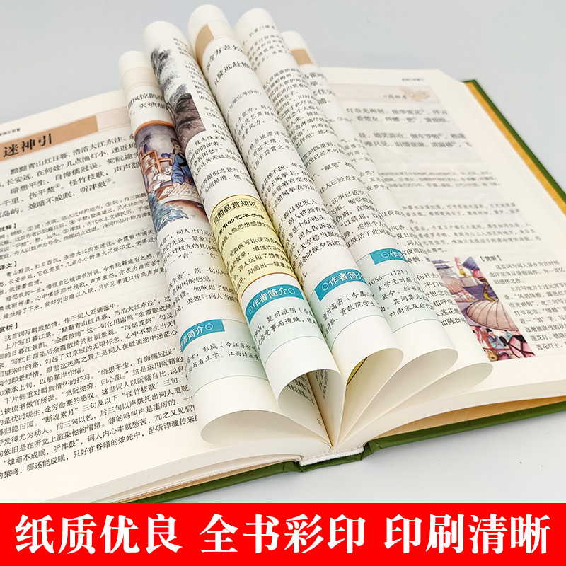 [正版]彩图宋词三百首全集鉴赏辞典经典宋词选全宋词原文译文注释全解成人版初高中小学生课外阅读元曲宋词300首上海古籍出高清大图