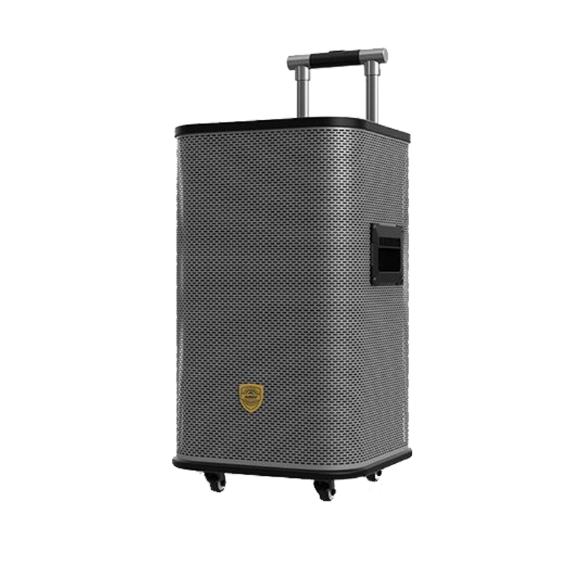 爱浪(avlight)dx50-12广场舞音响户外网红直播声卡k歌重低无线蓝牙