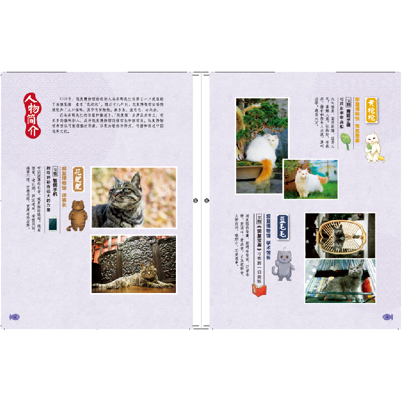 醉染图书《观复猫小学馆》花肥肥与节日小精灵9787514861068高清大图