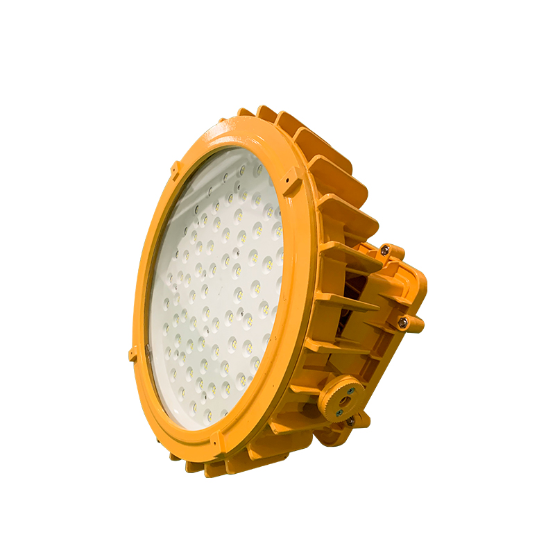 惠乐为 乐惠LB8204-150W IP65 Ex demb IIB T6 Gb/Ex tD A21 IP65 T80℃高清大图