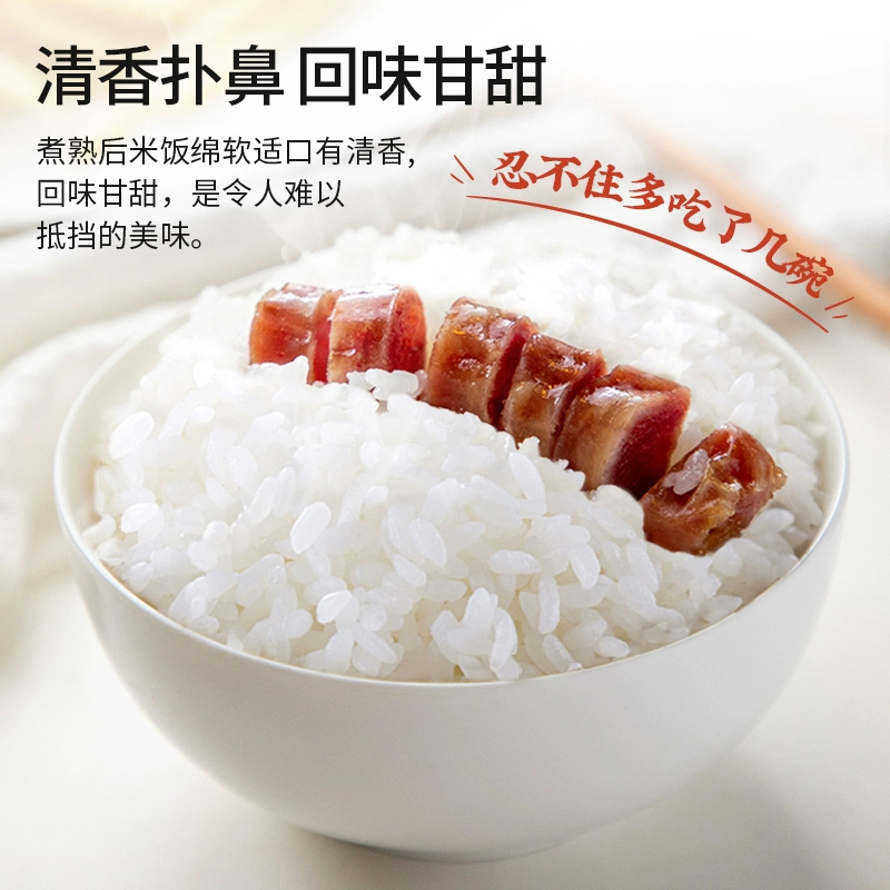芦沟畈好吃原浆米大米无添加富含膳食纤维大米清香四溢江苏胚芽米生产10公斤