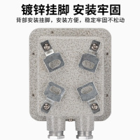 飞进防爆断路器空气开关配电箱控制箱漏电保护空开2P32A带漏电