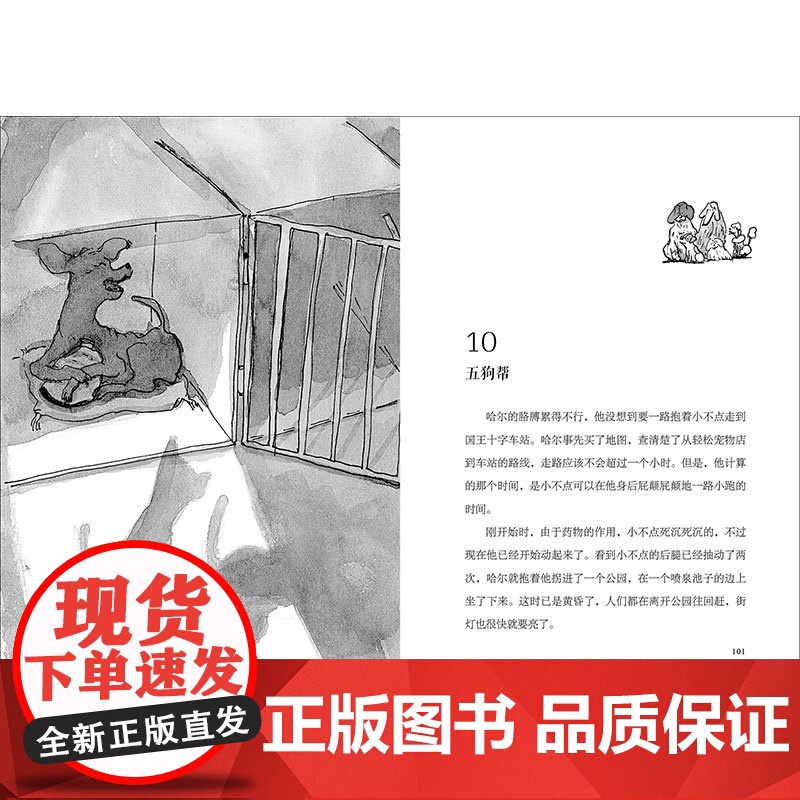 魔法象故事森林 狗和他的男孩 英国文学巨匠伊娃•伊博森作品,曾三度提名卡内基文学奖 亲情友情 品格培养 价值养成 广西师高清大图