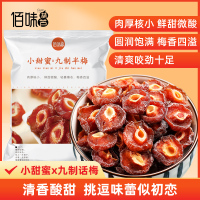 佰味葫芦小甜蜜九制半梅100g*8袋梅类果干休闲小零食 蜜饯水果干果脯特产休闲零食坚果小吃