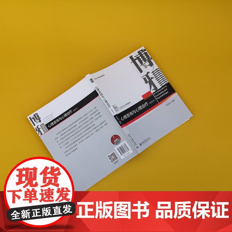 []心理咨询与心理治疗 重排本 钱铭怡著 北京大学出版社 北大心理学教材 心理咨询心理治疗基本原理与方法 正版图书高清大图